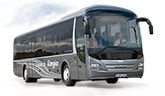 Автобусы
